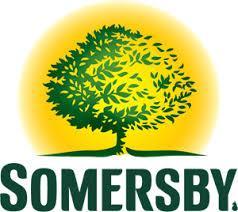Somersby Apple Cider - 330ml X 24  Pints